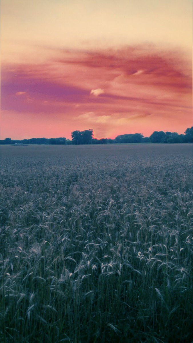Josh_Bugbee's tweet image. Harvest time! #kansaswheat #SummerSolstice #agriculture