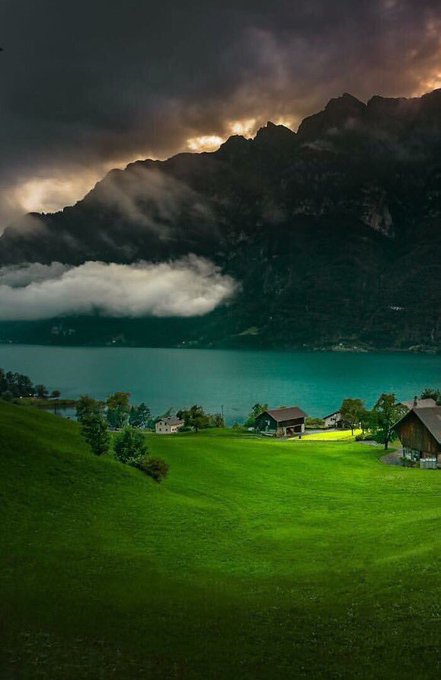 ���� ���� ������ �� ���� ������