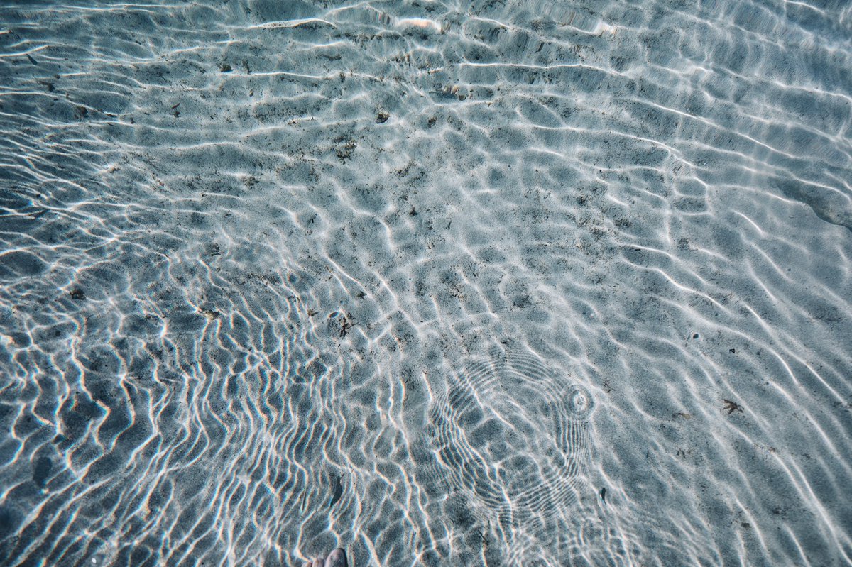 shoniimu's tweet photo. Somewhere in the Pacific Ocean https://t.co/0yQftr3trD