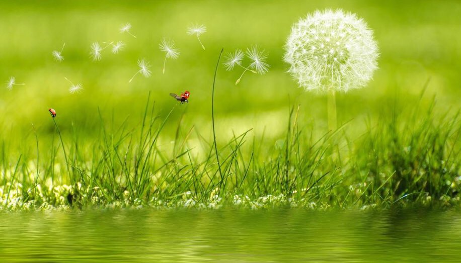 私の頭を殴る愛の言葉を聞いたので、共有します。

愛して一緒にいるのではない…
もっと愛そうと思って
一緒にいるの。

愛する人と一緒にいることが幸せだって思う。
私の考えの中に…このような愛の発想は無かったんです😱

色んな愛し方があると言う事をあらためて感じた愛の一文でした。