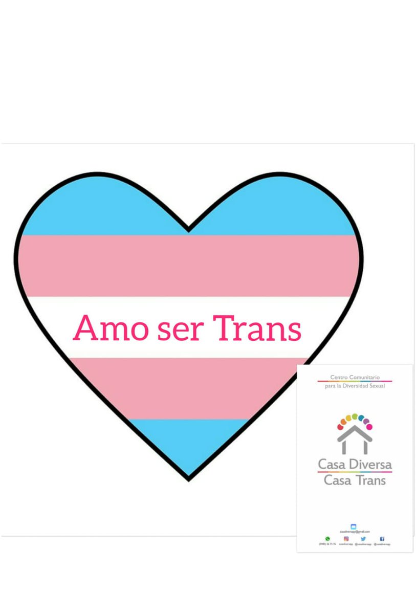 Casa Diversa (@diversacasa) on Twitter photo 