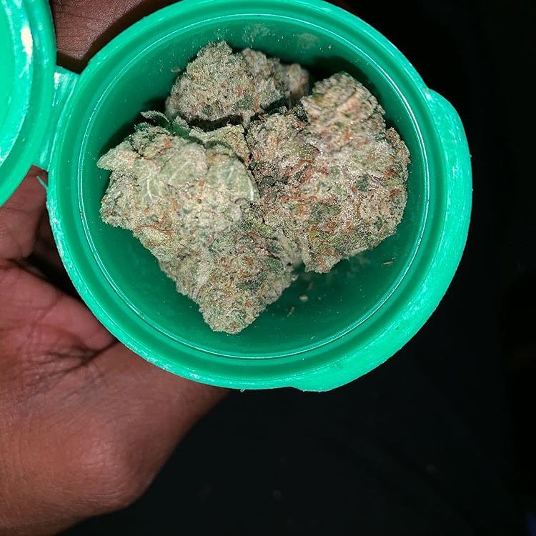 Alpha420_'s tweet photo. #weedlife #dankvapes #lsd #CBDlife #WeedLover #weednews #BlueDreamShelter https://t.co/iaEKg9bjgj