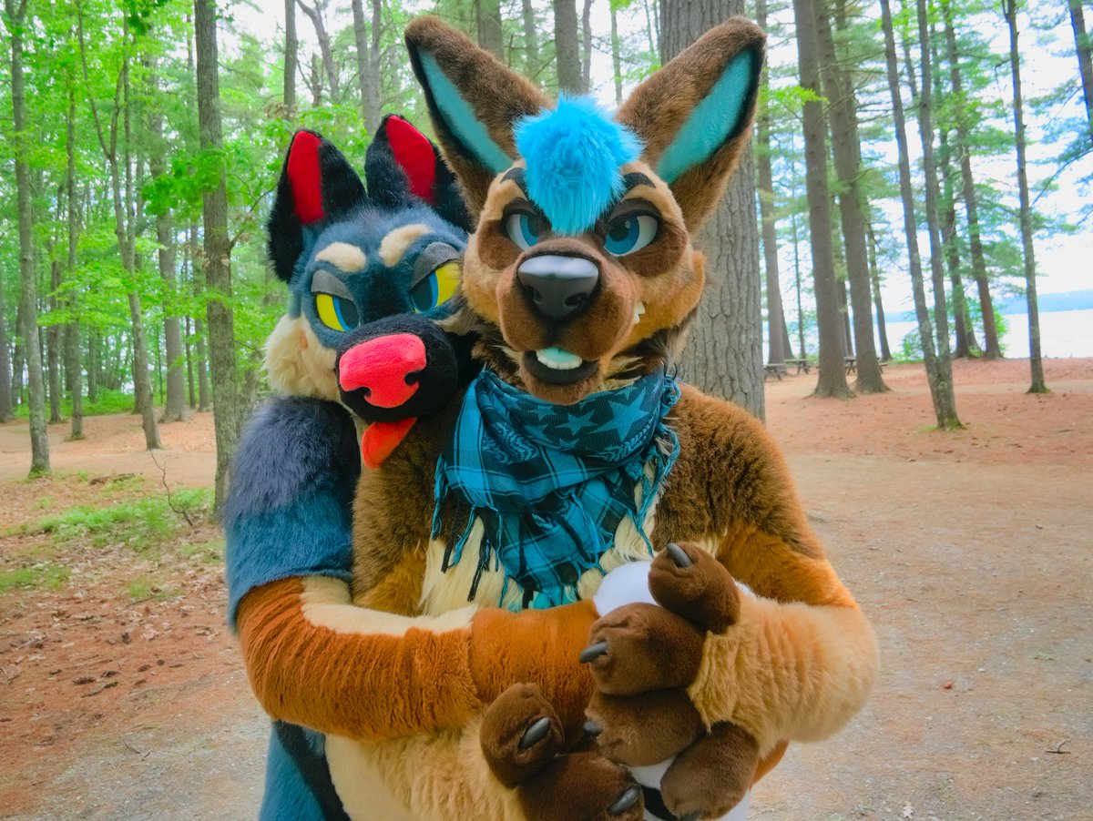 PabstShepherd's tweet photo. I have caught @IzarShepherd and will cuddle him forever! He's a good boy! 
📸 .@DuskPanda 
.@mainefurbeque 
#FursuitFriday https://t.co/bQLmT2SEL5
