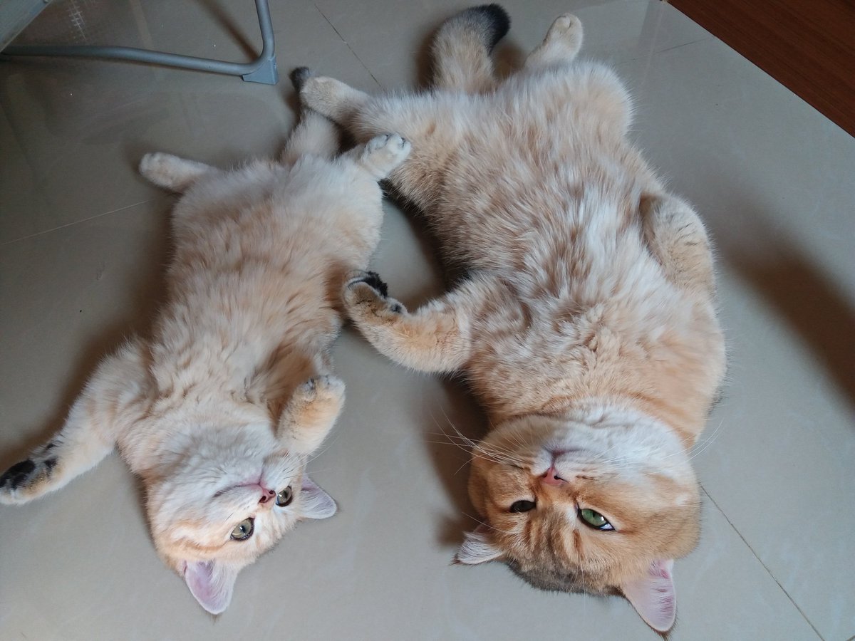 เอ็ดเวิร์ด tweet media