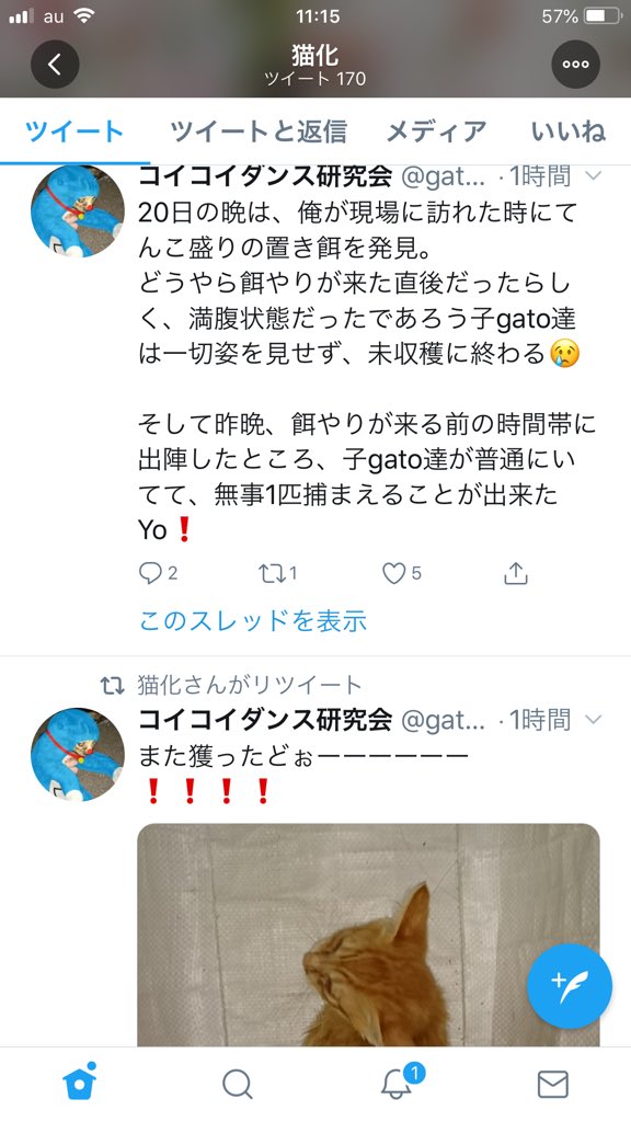 تويتر みぃ Alive على تويتر また現れた また仔猫が 1時間前の投稿 6月21日夜に仔猫が拉致られた 通報 お願いします 拡散 お願いします 各地の餌やりさん ボランティアさん 地域猫や野良ちゃんが狙われてます T Co 8f9j60isfp