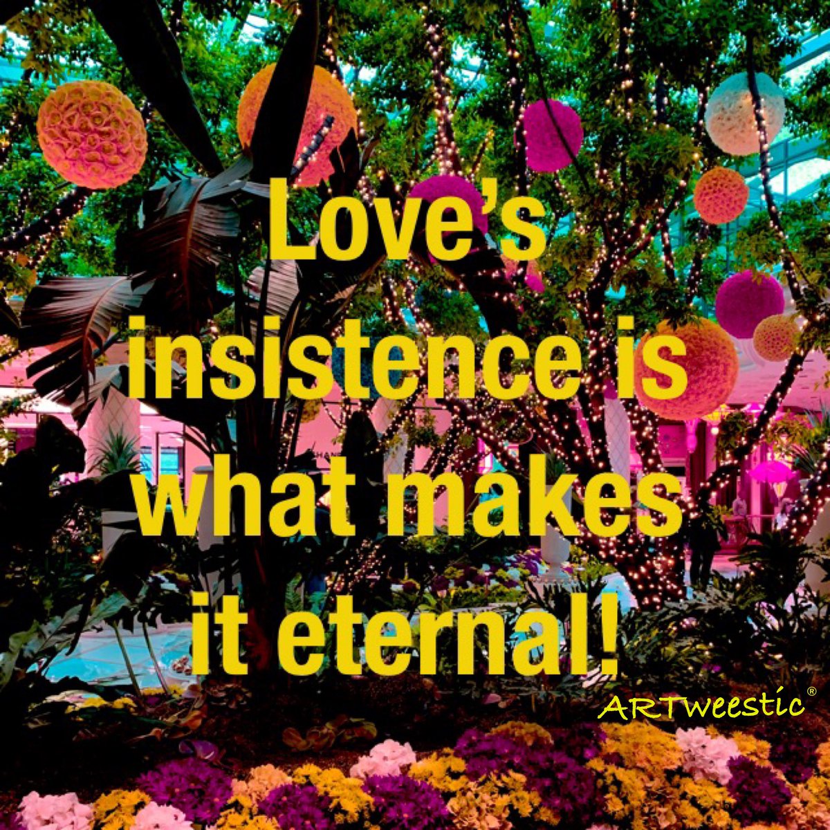 ♥Vera Holley♥ tweet media