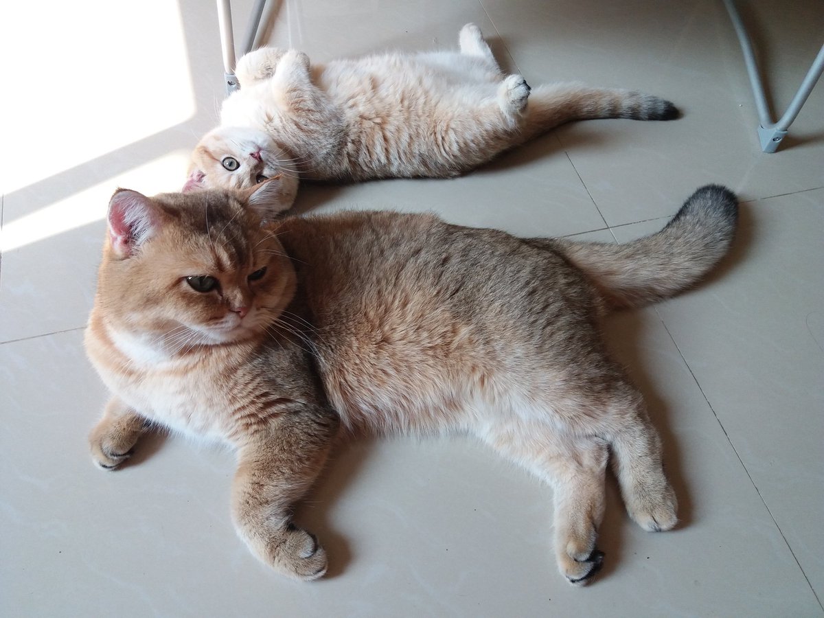 เอ็ดเวิร์ด tweet media