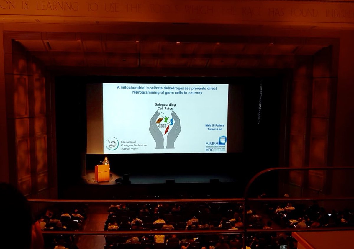 Very good job Nida!! #Worm19