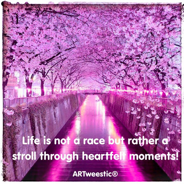 ♥Vera Holley♥ tweet media