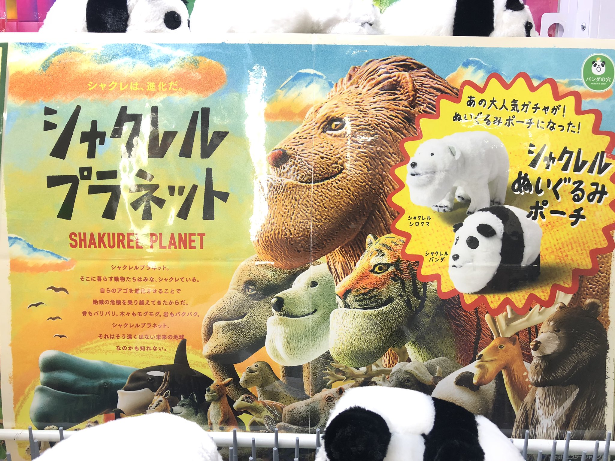 マンガ倉庫日向店アミューズ シャクレルプラネット ぬいぐるみポーチ シャクレルシロクマ シャクレルパンダ 全2種入荷しましたー しっぽがチャックになってる もふもふで可愛いポーチです シャクレルプラネット ぬいぐるみポーチ ぬいぐるみ