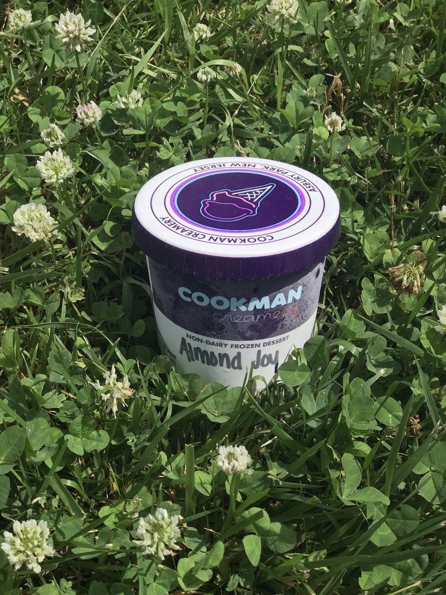 What sparks joy for you on this summer day? ⁣
⁣
#SeedBurger 🌱🍦