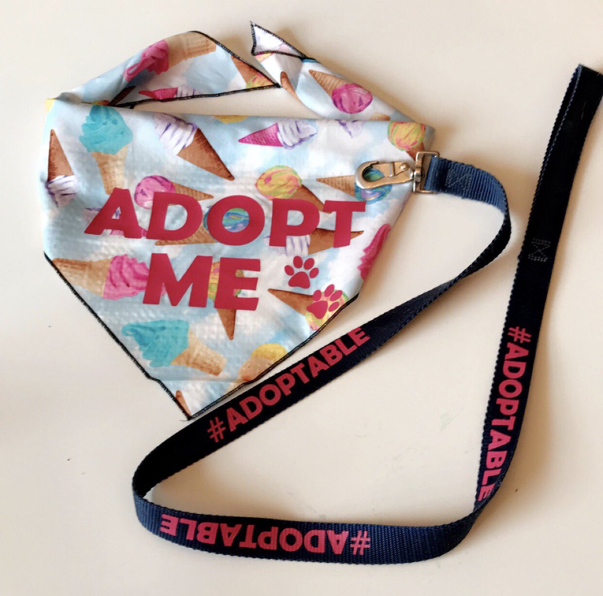 the_andreadawn's tweet photo. Spent the evening getting crafty and happy to say miss Braap is all set for her debut tomorrow at @petvalu Evanston with @RescueEj! 🐾 This girl is oh so #adoptable and oh so ready to find her #furever! 💕

#AdoptMe #AdoptableDogsYYC #YYC #PetValu #SilhouetteCameo https://t.co/QqlmFhKxN1