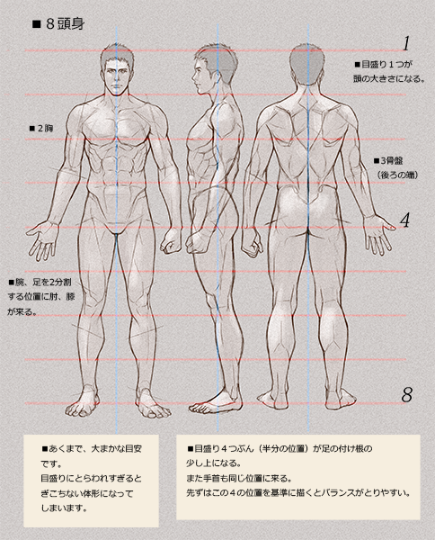 骨と筋肉のtwitterイラスト検索結果 古い順 骨と筋肉のtwitterイラスト検索結果 古い順