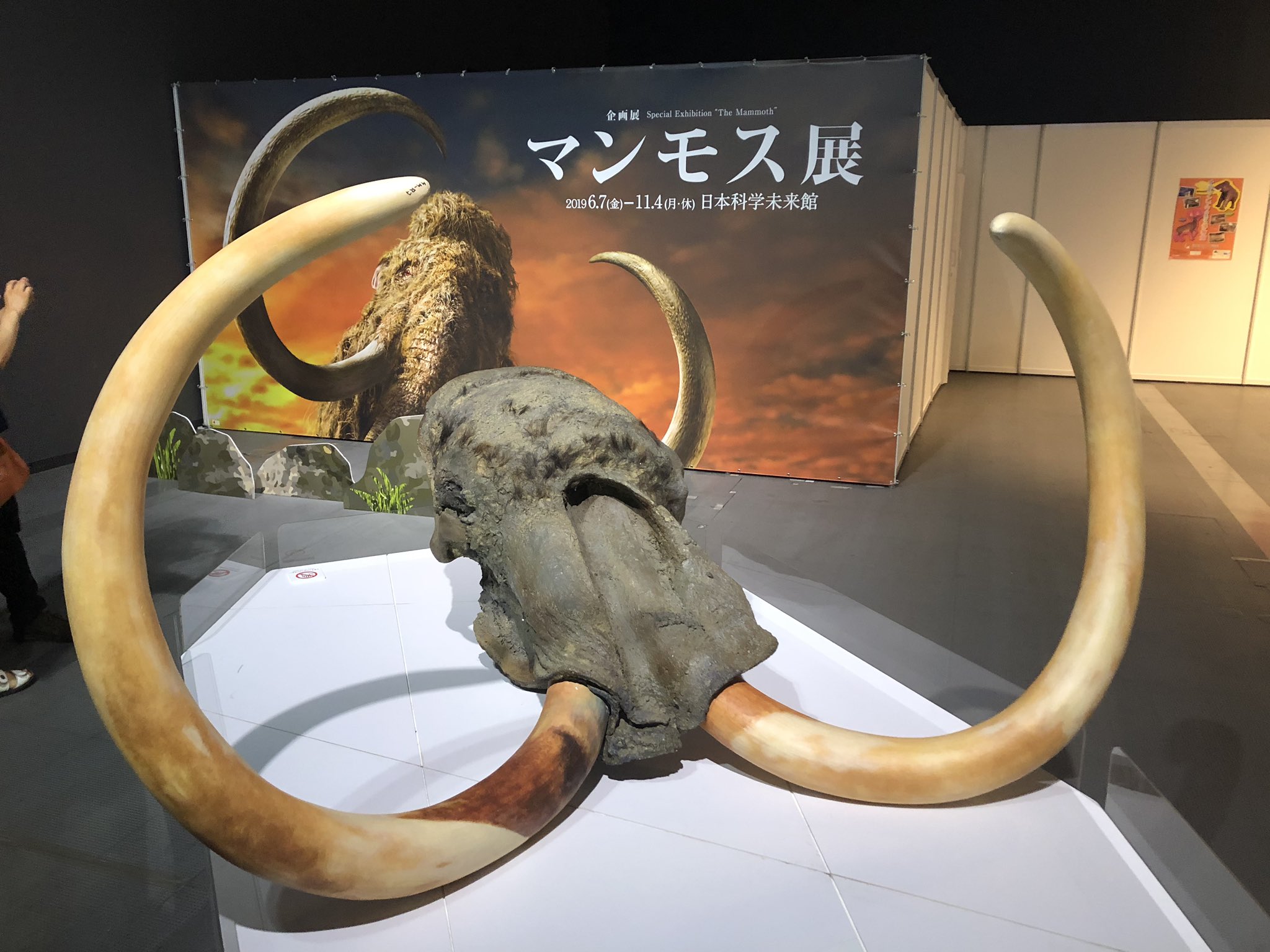 2005年愛知万博　マンモスの牙 万博ヘッドライン | EXPO 2005 AICHI,JAPAN