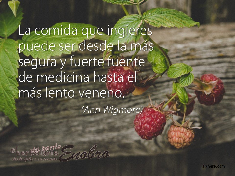 her_enobro's tweet photo. #reflexion #annwigmore #somosloquecomemos #FelizSabado https://t.co/6pm4TEwDjy