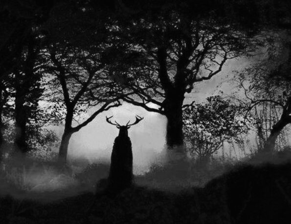 LV_matthews's tweet image. Lightning #scars the sky.
You usually walk this way, don’t you? You walk with the dog, I’ve seen photos. Dappled sunlight through the woodland trees. Will you come now it’s raining? Now the dog is gone? #SatSplat #vss365