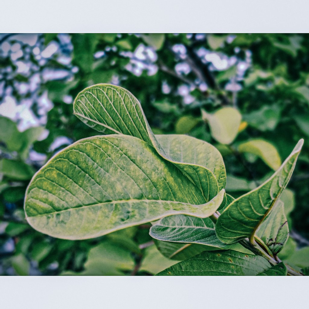 BiltuKumarDey's tweet photo. #bestclick
#RedmiNote7Pro https://t.co/ztSt0vOM5g