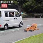 本物は呆れてる？動物園でライオン1頭が脱走したと想定した対策訓練がシュールすぎる!