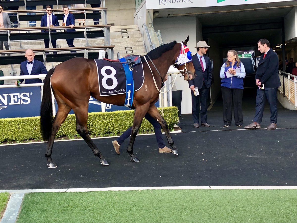 Gmacracing's tweet photo. #bettershot #ourwinnie https://t.co/A3OF19oqMF