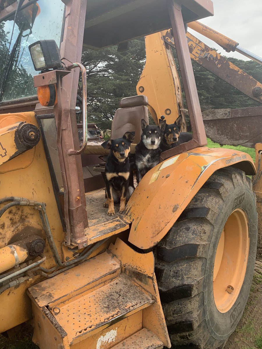 2Stacky's tweet image. Apparently I need their help