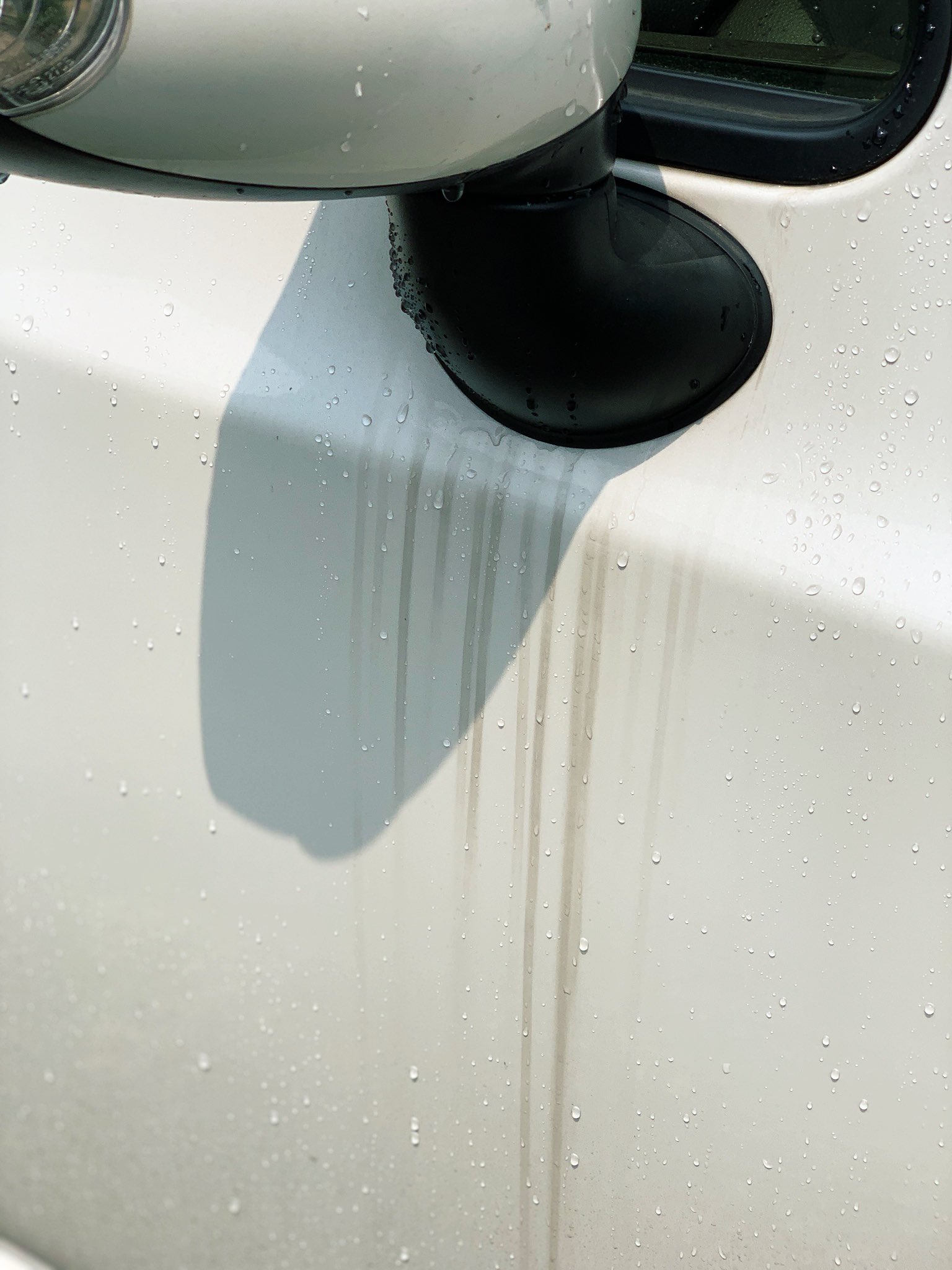 تويتر Mako على تويتر サンポールcmの替え歌 姪っ子が 洗ってと言わんばかりに 駐めた 車の水アカ は黒かった T Co 4bunfk3jy2