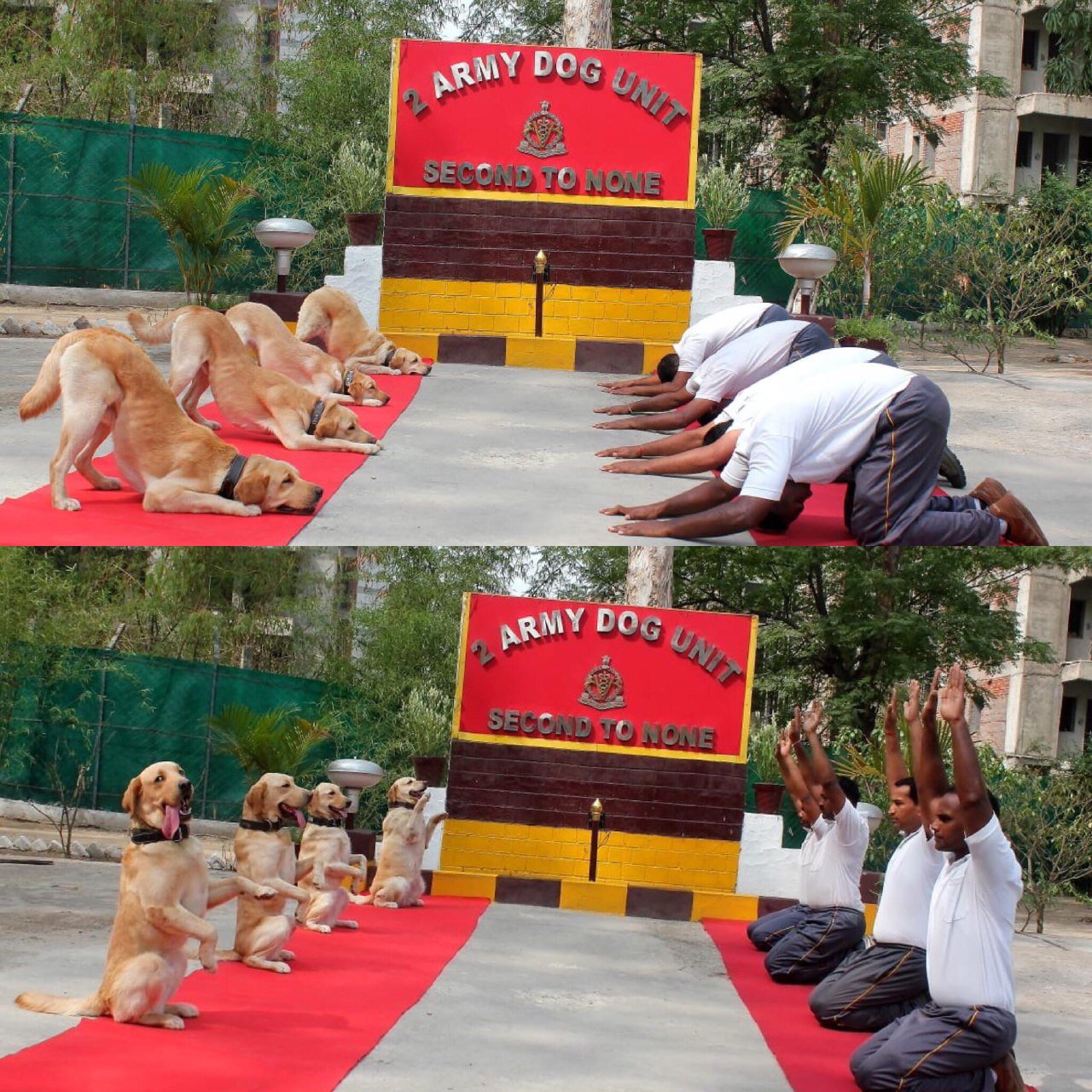 D9pPFwpXsAAW4np.jpg:large