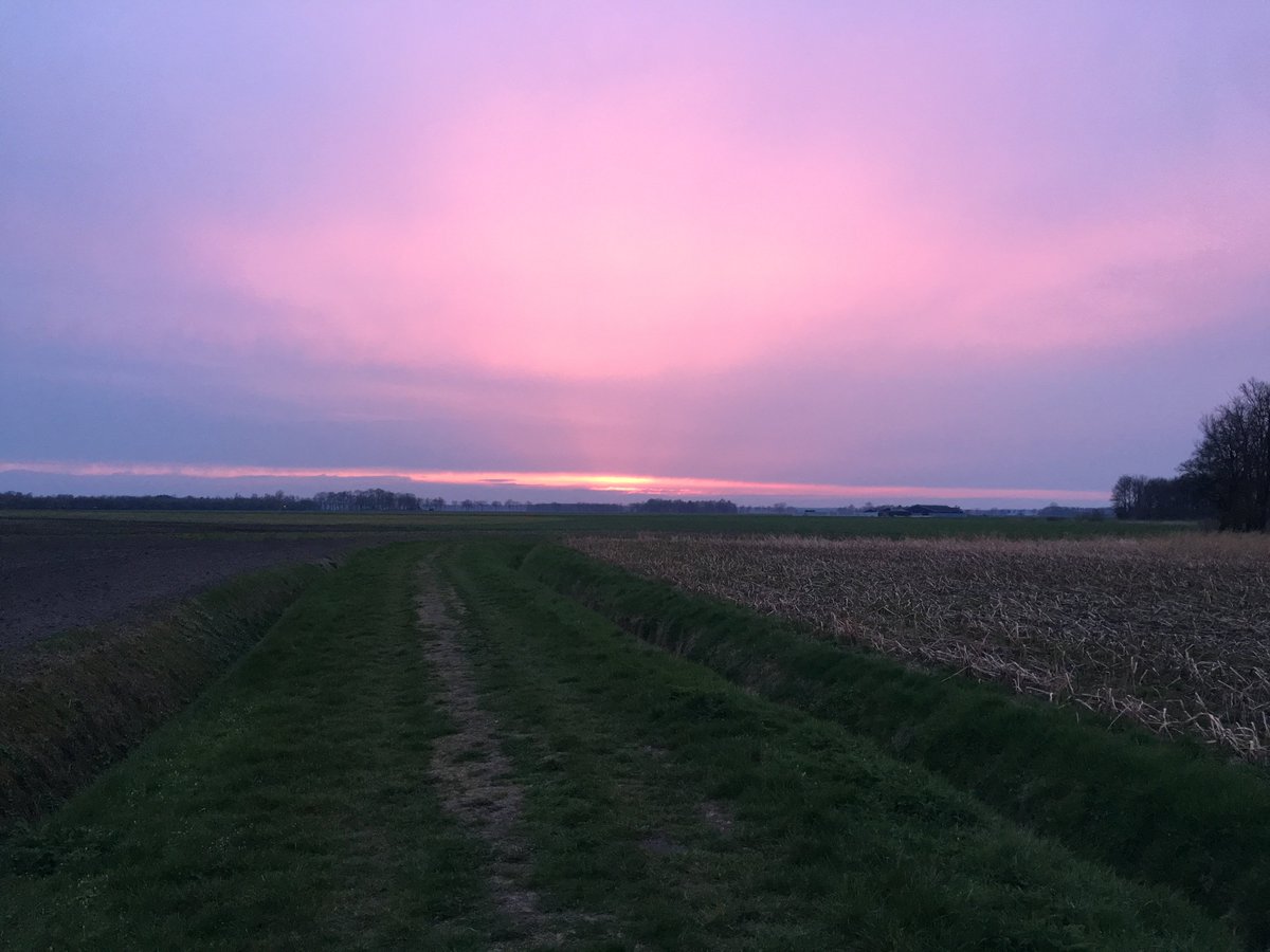 #natuurkantoor nieuw project van #oppadcoaching #werkenindenatuur #drenthe #roomwithaview