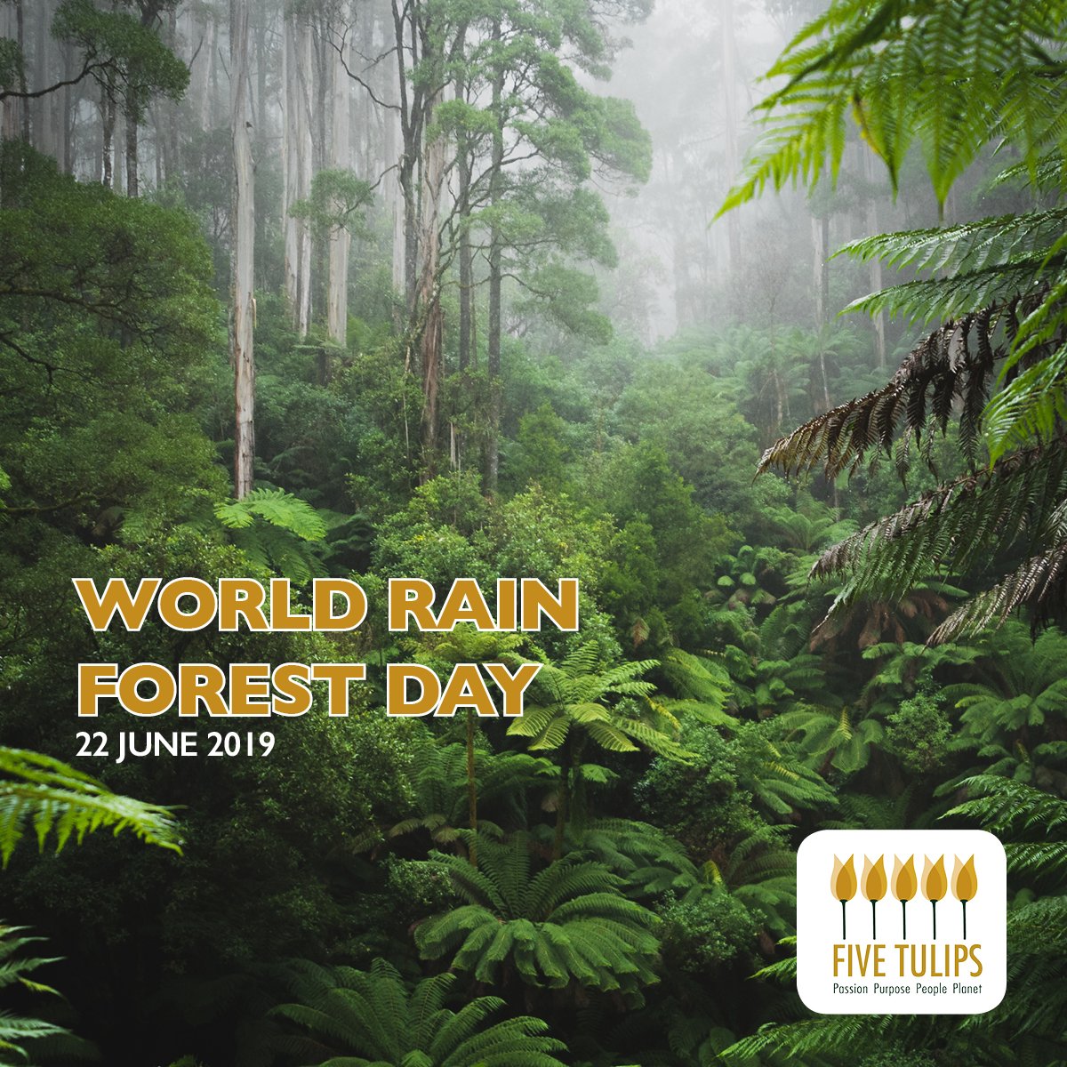 Fivetulips's tweet image. With Five Tulips, you can launch a Corporate Social Responsibility campaign that aims to raise awareness and encourage action to save the Earth’s precious resources. fivetulips.com #CSIProjects #SaveThePlanet #rainforests