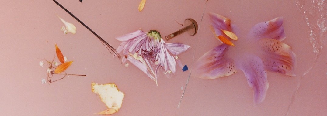 MoonCrystal___'s tweet image. My birthday cake ispired by Harry Styles' album, please like, rt and tag Harry to let him see this.😍

I love you Harry💚