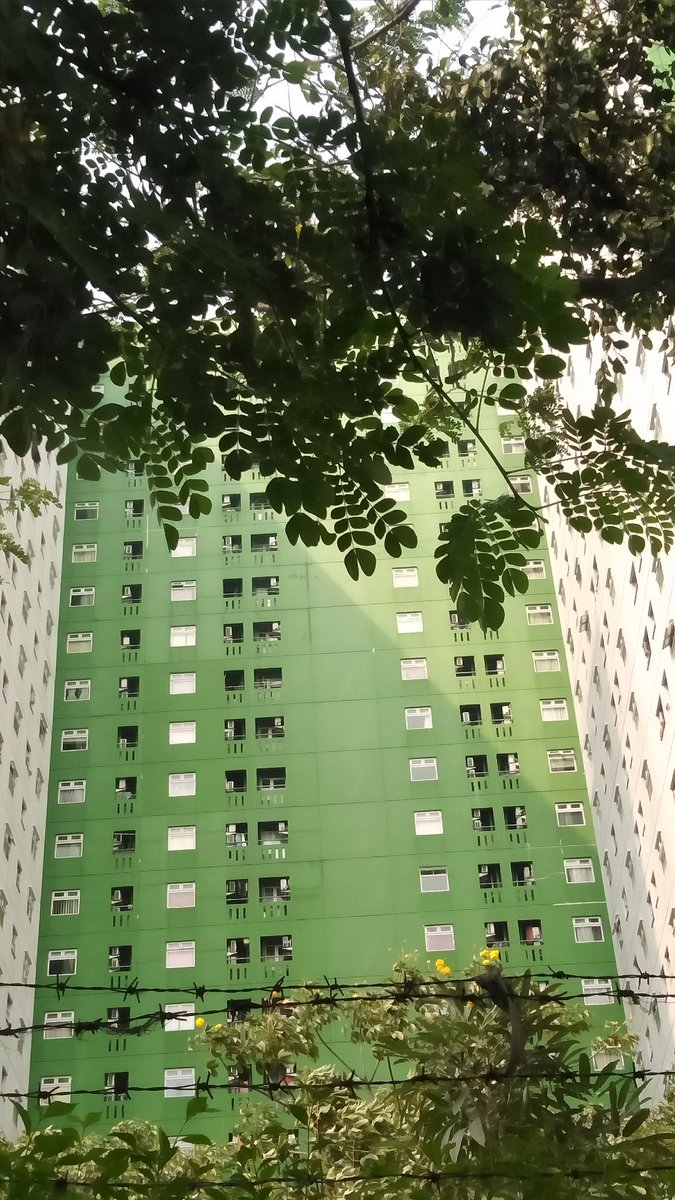 UBangsad's tweet image. Cikal bakal munculnya open BO nih arpat hahaha