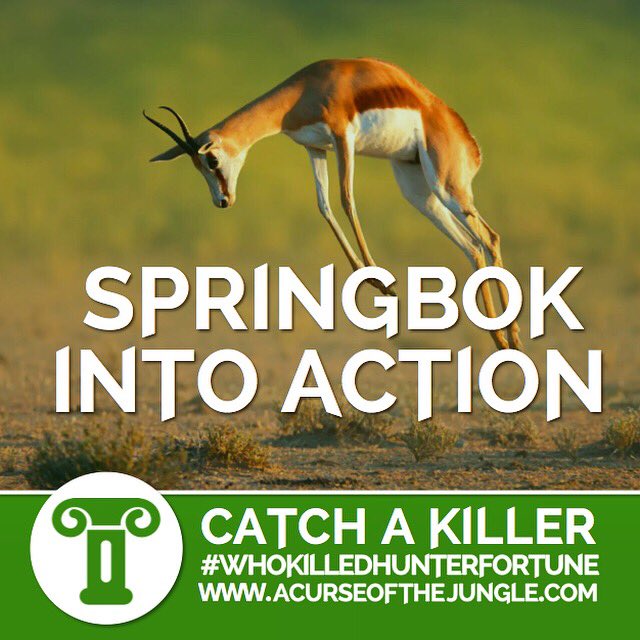 ACorpseOnCamera's tweet image. PACK YOUR BAGS, DETECTIVES - IT’S EXPEDITION TIME! Head to the jungle today for your final chance to unearth the horror and discover #WhoKilledHunterFortune! We’ll see you later! Good luck detectives! #MurderMystery #TreasureHunt #ReadingUK #Rdg #RdgUk #Reading #MadeInRdg