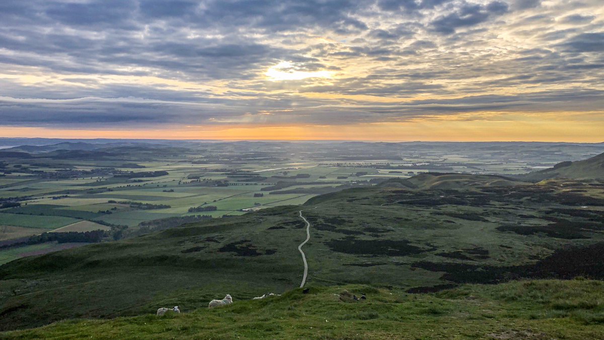 steamingboots's tweet photo. A wee hike up The Lomonds in Fife this morning - nice to meet @WalkWithWallace up there ๐ looking forward to your vlog Robin ๐๐ฅ. Hope you have a great day with Ray #fife #weehike #outwiththedog https://t.co/4i0Sw0spXt