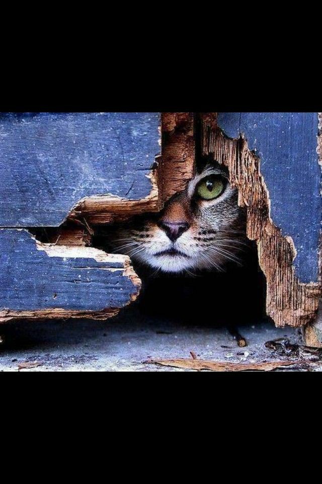 TweetMatti1's tweet image. #ProjectFlow: #StartingOver trying to find a new field of employment is going to require looking at things from a #different perspective, instinct and intrigue. #over50 #journey #learning #CHANGE #Faith #RestInHim #BuckleUp