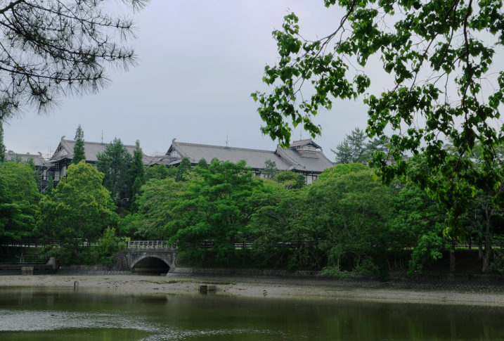 石内都さんのいらっしゃる風景。5時すぎまではいらっしゃるでしょうから。眺めは高畑写真事務所から。

#ハッセルブラッド #ハッセルブラッド賞 #木村伊兵衛賞 #木村伊兵衛写真賞
#原美術館 #thethirdgalleryaya #photography #Hasselblad #HasselbladExperience 
#miyakoishiuchi #isiuchimiyako