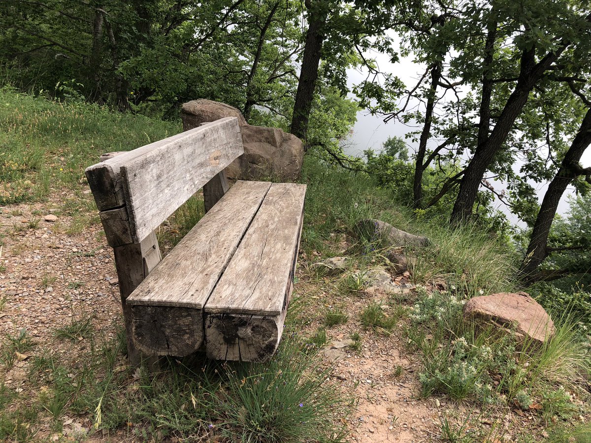 vagramuntflix's tweet image. #OJOALDATO Si eres de los que se quedan sentados te comunico q los bancos estan al lado del camino para poder reposar, reflexionar y recuperar fuerza para continuar el viaje ...
En @seidor nos adaptaremos a tu ritmo, nunca viajaras solo
#AnalyticsNext journey