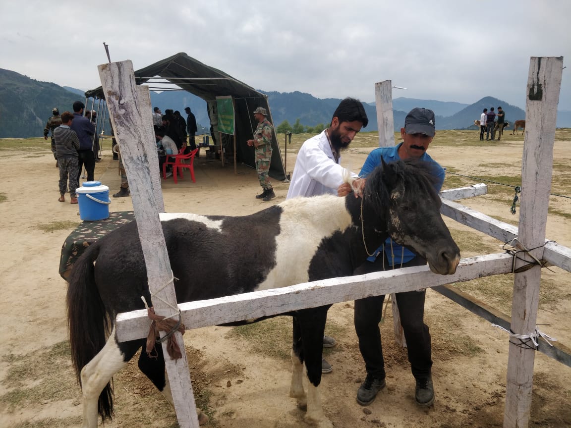 Whiteknight_IA's tweet photo. #IndianArmy org #VeterinaryCamp at Neel, Ramban aimed to provide basic Veterinary facilities in areas of Ramban District. Team of Army personnel, Veterinary Doctors from #StateVeterinaryDept attended to various livestock & provided treatment to 243 animals. #ArmyFor Awam @adgpi https://t.co/IlTFLhrxn6