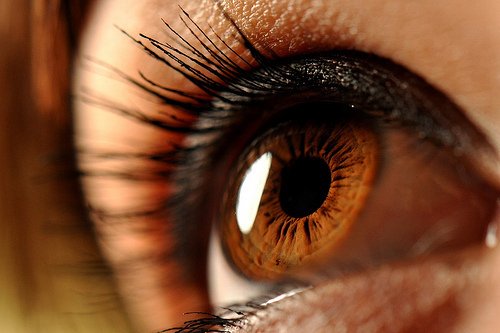 Clinical2019's tweet photo. Donor-Derived iPS Cells Show Promise for Treating Eye Disease
clinicaltrials@pulsusglobal.com
https://t.co/xo116X5spk https://t.co/DQ3COKCLn9