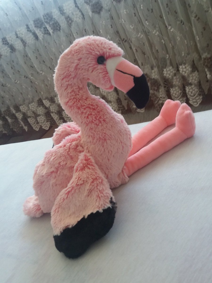 get noob nooblet tweet media
