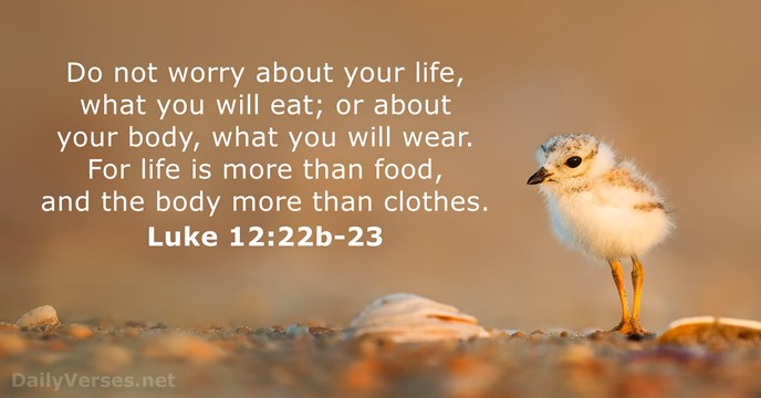 Lag_archdiocese's tweet photo. Today's #Reflection... By REV. HARRISON OKOLI
"DO NOT WORRY ABOUT YOUR #LIFE"
https://t.co/FpxQVPvZgc
#Prayer: God increase our trust in you that we may not be consumed by our limitations and inadequacies. Amen.
#Catholic #LagosArchdiocese #CYON #CWON #Charismatic https://t.co/aQQN3lCYwe