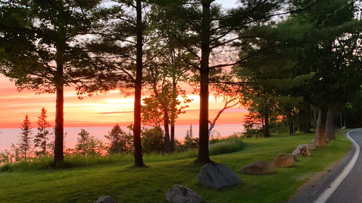 tunneloftrees's tweet image. Setting into summer. 🏍🚘🍂

#TunnelofTrees #M119