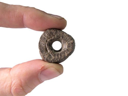 Spindle whorl found at Saltfleetby, Lincolnshire. The inscription in Norse runes running around the outer wall and continuing around the face, reading : ᛫ᚮᚦᛂᚾ᛫ᚮᚴ᛫ᛂᛁᚾᛘᛏᛆᛚᚱ᛫ᚮᚴ᛫ᚦᛆᛚᚠᛆ᛫ᚦᛂᛁᚱ᛫ // ᛫ᛁᛂᛚᛒᛆ᛫ᚦᛂᚱᚢᚮᛚᚠᛚᛏ᛫ᚮᚴ᛫ᚴᛁᚱᛁᚢᛂᛋᚠ᛫