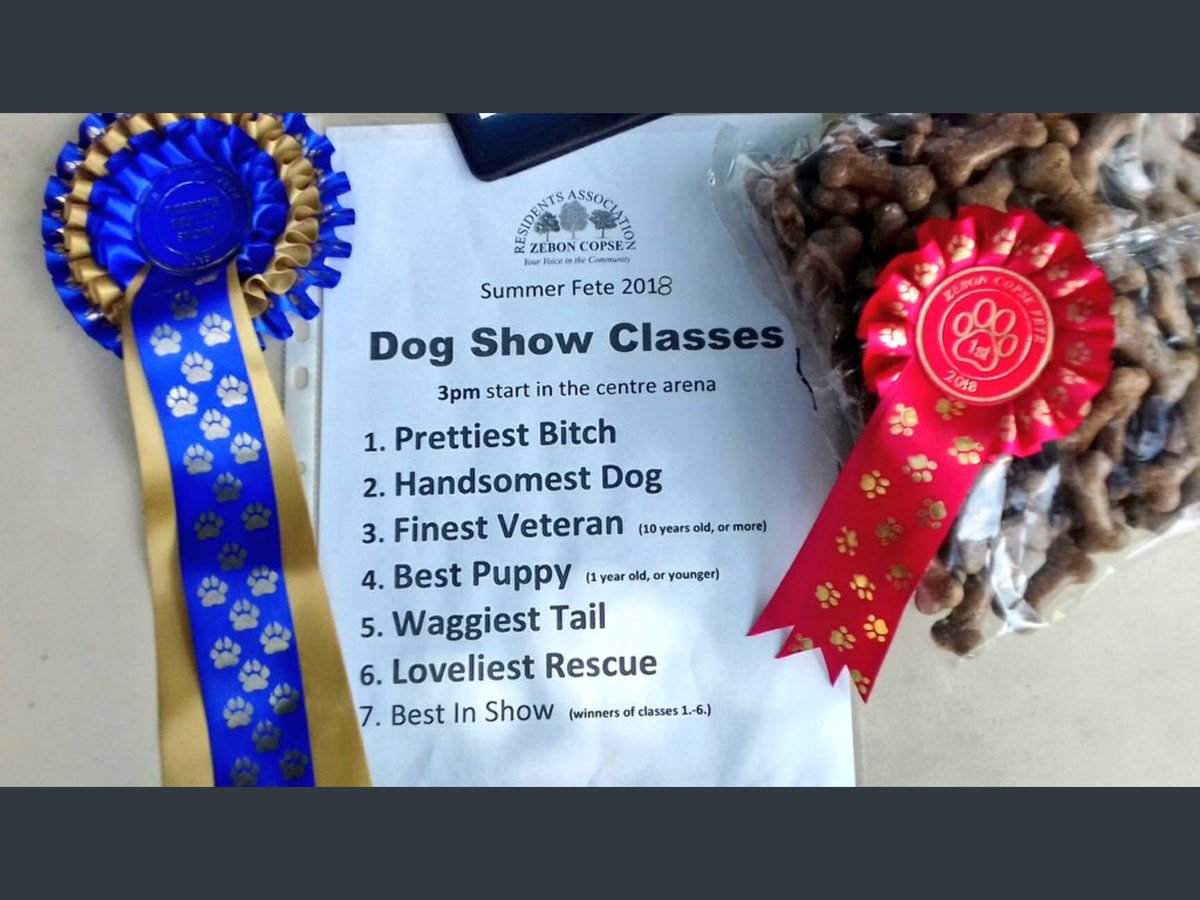 Almost a week to get your pooch ready for next Sunday’s fangtastic Dog Show at the Zebon Copse Summer Fete #ZCRAFete. Lots of classes to enter and treat for every four legged canine that enters with the fun starting at 3pm.