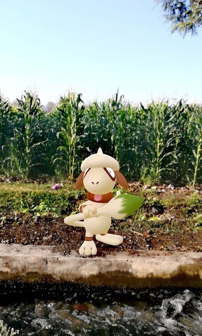 MrT4k0's tweet photo. @pokepoechat #GOsnapshot
#vamosnianticlatam https://t.co/Rcaa5pKsZ6