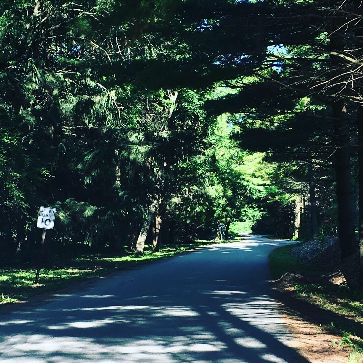 Not too bad of a view for a first shift for a summer job!
#greatoutdoors 
#lakelife