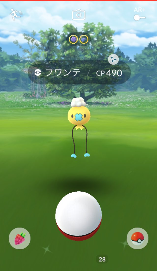 色違いフワンテ 色違いフワンテ