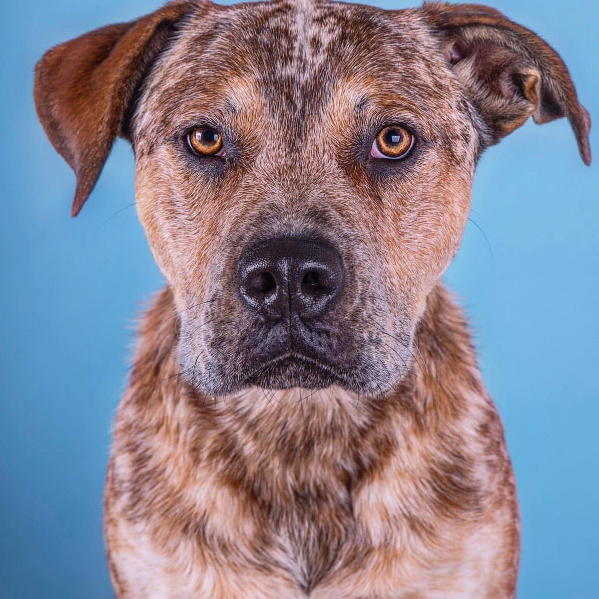 How could you not love this face

Dave you have touched the heart of everyone who met you.
Today you start your new life with a heart and family full of love.