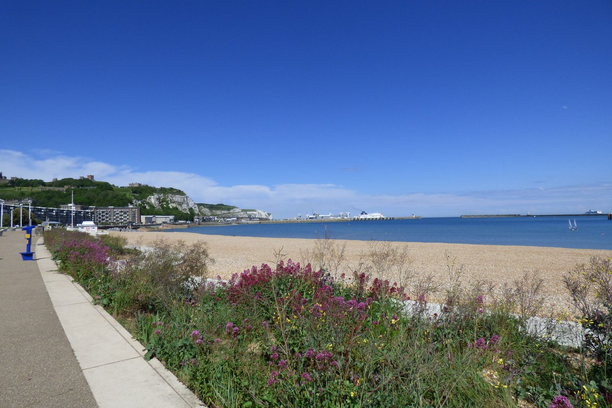 MaisDieuDoverBB's tweet image. Huge thanks to the team @hythebaydover for great #customerservice shown to our guests who arrived stressed &amp;amp; hungry late last night - a wonderful meal &amp;amp; #attentiveservice was much appreciated❤️  🍽️☕️🐟#seafood #fishrestaurantdover #Dover #restaurant #coffee #lunch @eatdrinkkent