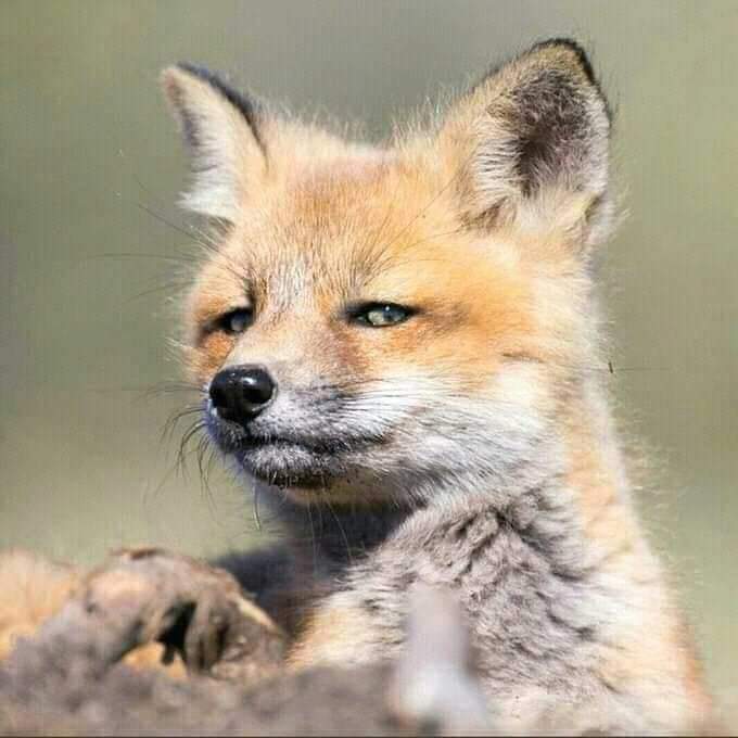 When your friend is unable to balance the clutch and accelerator of a manual transmission car.....gari inazima !
Eti nimezoea Automatic......

#riddimvybzk24 #MarriedMenConference #ALGKEN