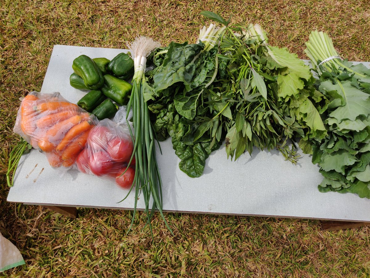 didi_mwanza's tweet photo. Hi😁,Doing a vegetable basket sale,the basket includes:1kg tomoto,1 kg carrot, 1kg green pepper, spring onion, rape, chines cabbage, spinach, and kalembula, All this at only k 50😁. 
I'm only changing K10 for delivery around lusaka. 
You can call me on 0974400979. 
Please RT 🙏🏾 https://t.co/QDXdxWfeS5