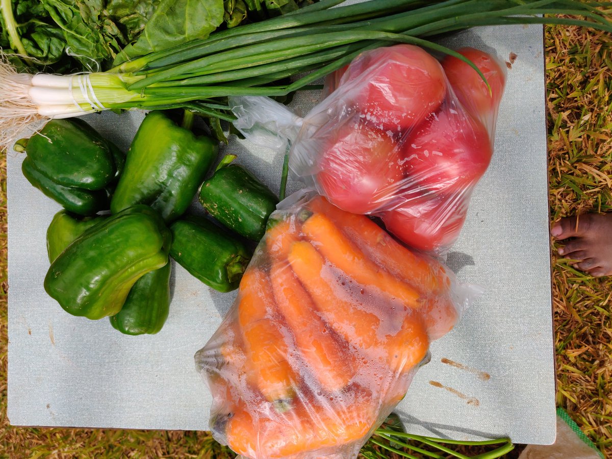 didi_mwanza's tweet photo. Hi😁,Doing a vegetable basket sale,the basket includes:1kg tomoto,1 kg carrot, 1kg green pepper, spring onion, rape, chines cabbage, spinach, and kalembula, All this at only k 50😁. 
I'm only changing K10 for delivery around lusaka. 
You can call me on 0974400979. 
Please RT 🙏🏾 https://t.co/QDXdxWfeS5